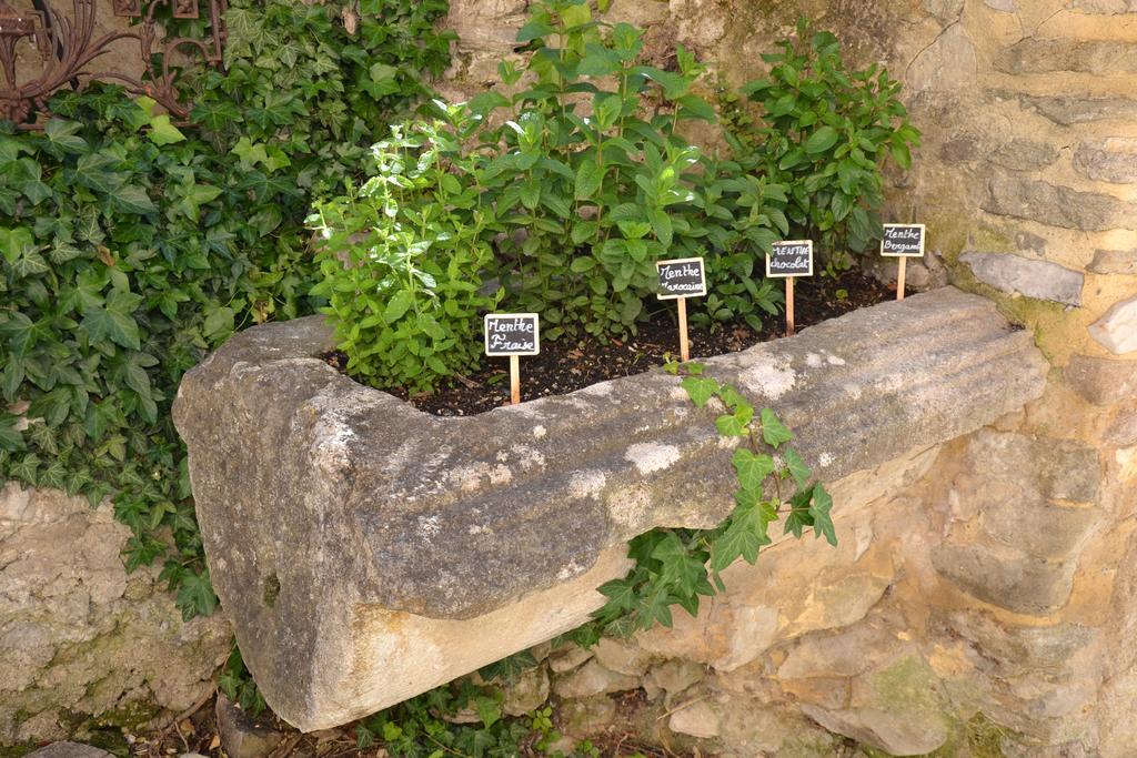 Hotel La Bastide De Vaison Zewnętrze zdjęcie